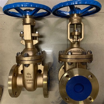 Com triar les vàlvules marines